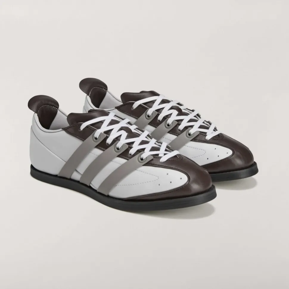 Ace Shoes