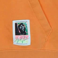 Bluza z kapturem Sport DNA Washed