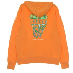 Bluza z kapturem Sport DNA Washed