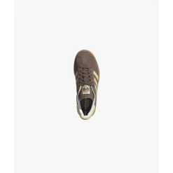 Gazelle Bold