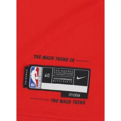 Koszulka Dri-Fit Swingman