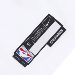 NBA Swingman Jersey Association Edition