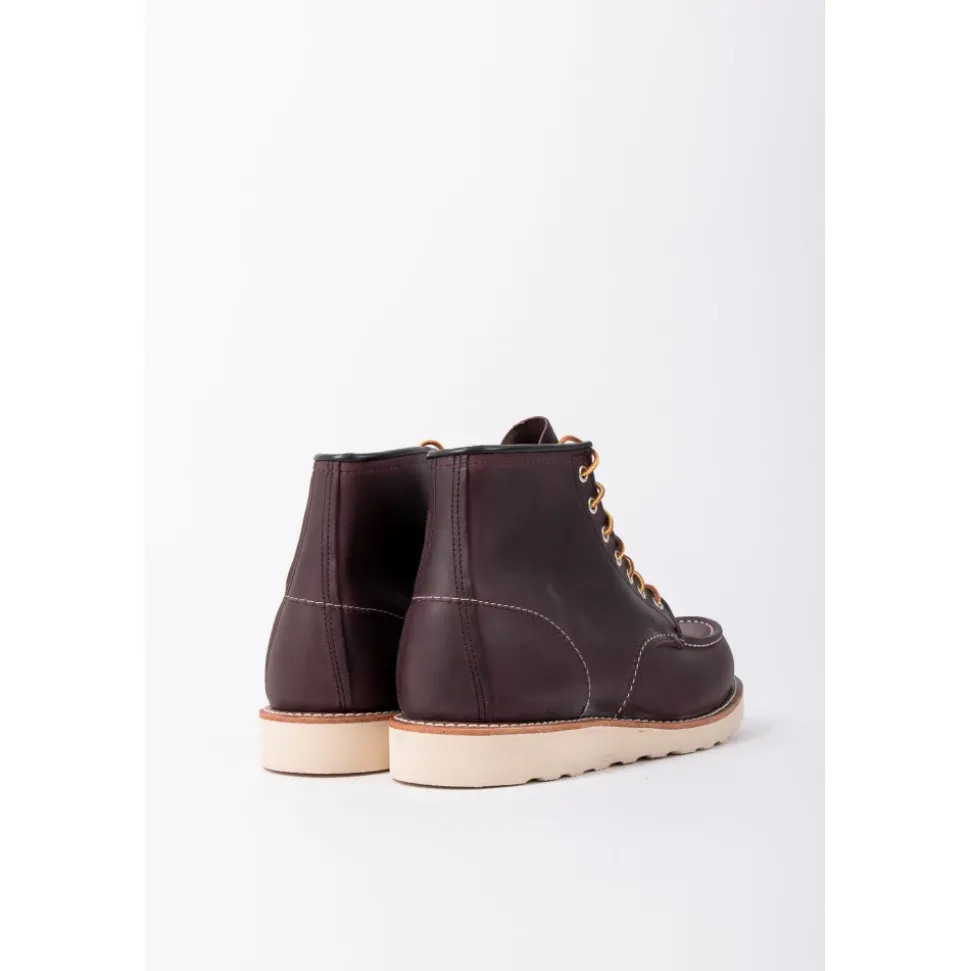 Sznurowane buty Moc Toe
