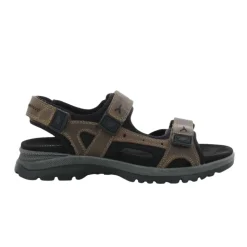 TARO Flat Sandal