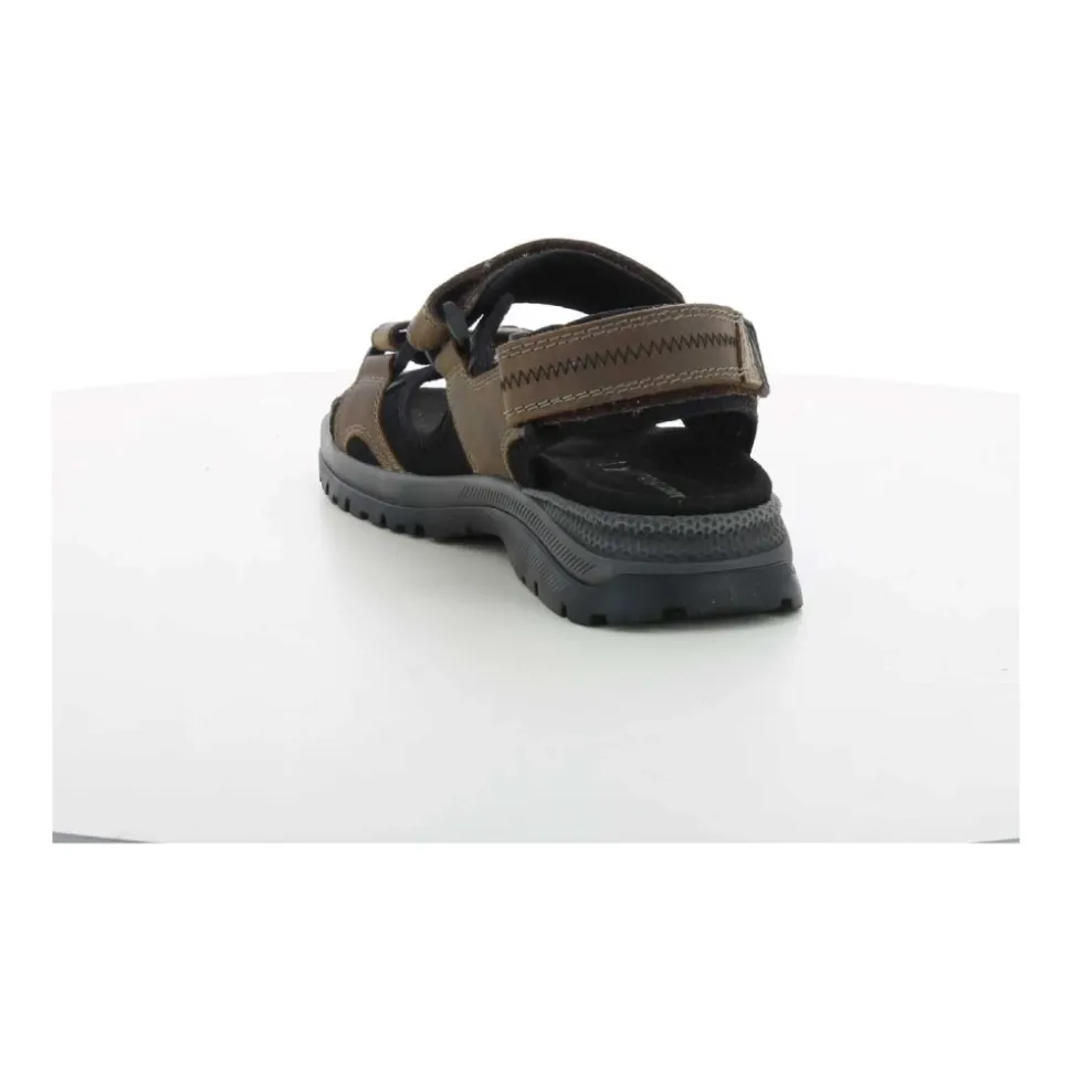TARO Flat Sandal