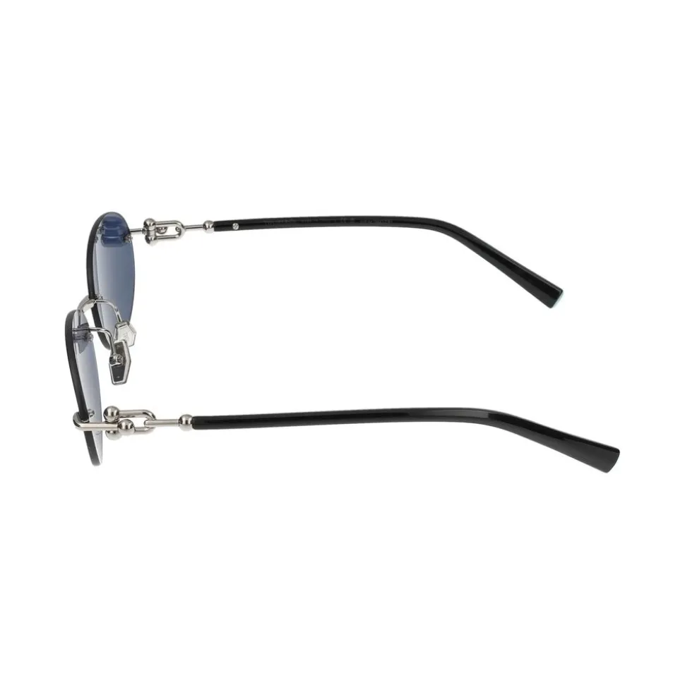 TF3104D Sunglasses