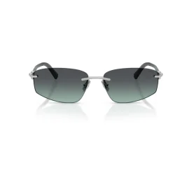 TF3114 Sunglasses