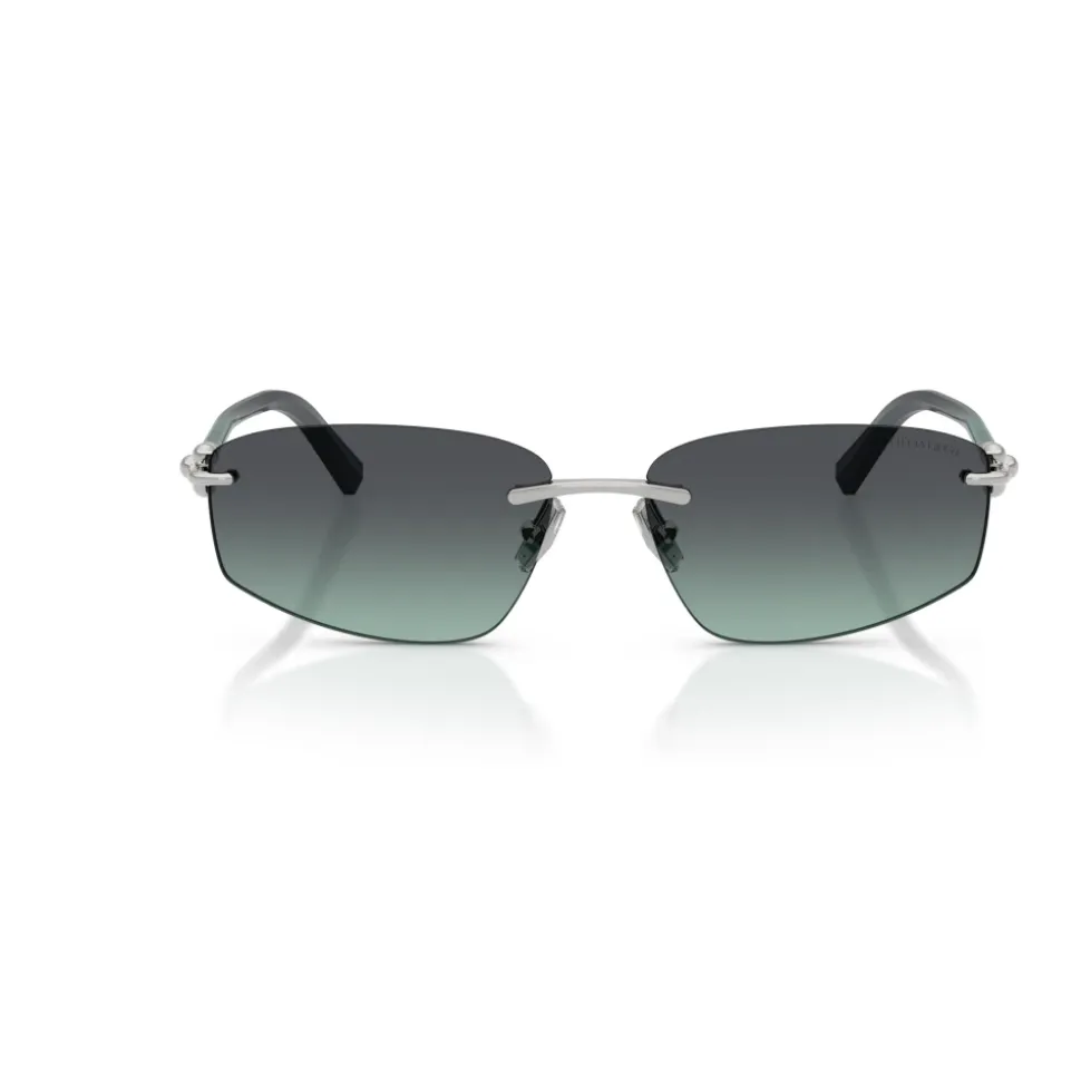 TF3114 Sunglasses