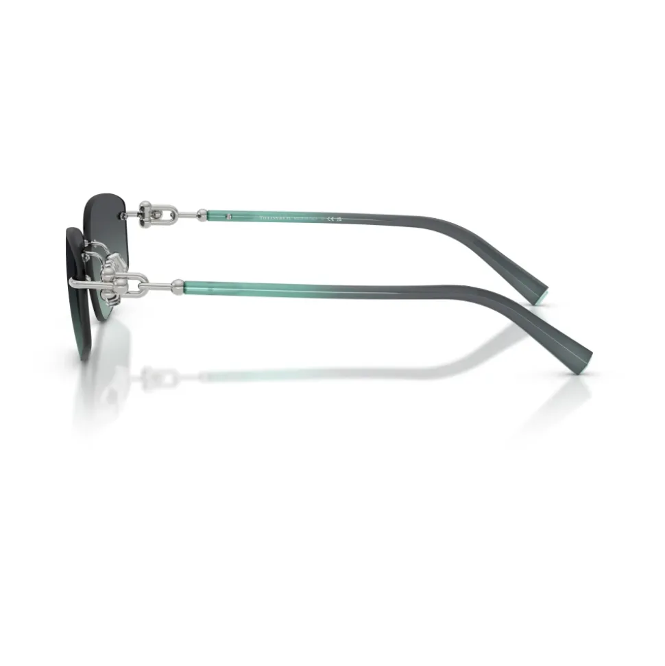 TF3114 Sunglasses