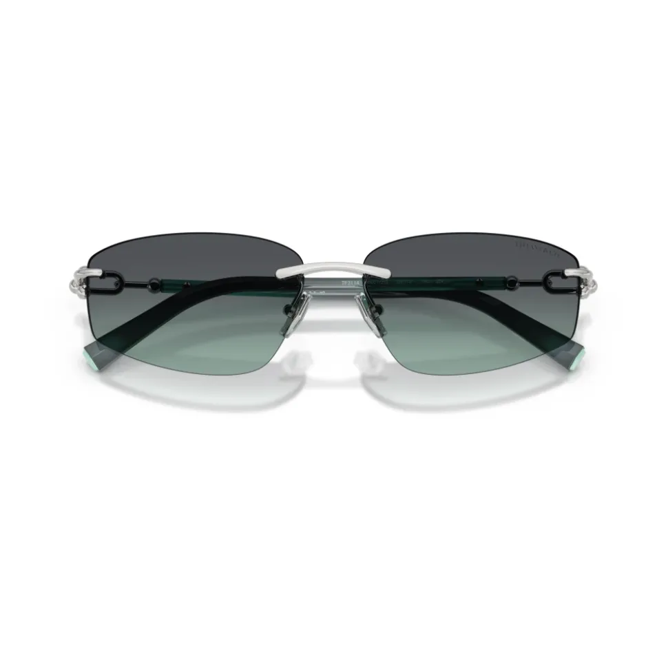 TF3114 Sunglasses
